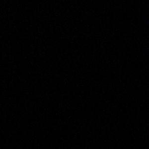 Meet your Posher, Niki